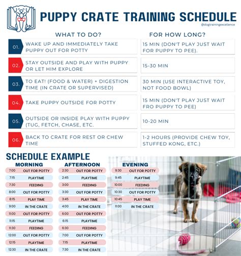Printable Puppy Crate Training Schedule